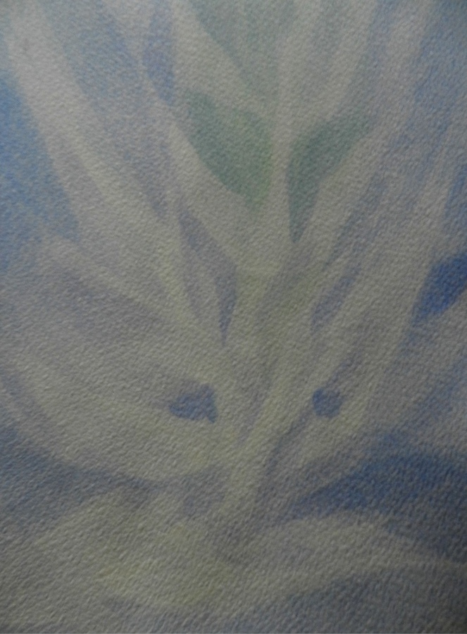 élémentaire-plante